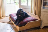 Wood Dog Bed L