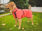 Firedog Thermal Pro Dog Jacket YANKEE chocolate brown M1 41-43 cm