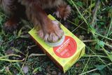 Hownd Skin, nose &amp; paw balm with sun protection 50 g