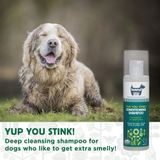 Hownd Yup you stink conditionning shampoo 250 ml