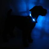 LED Light dog collar LEUCHTIE Easy Charge USB blue 57,5 cm