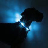 LED Light dog collar LEUCHTIE Easy Charge USB ice blue 57,5 cm