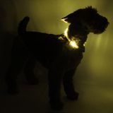 LED Light dog collar LEUCHTIE Easy Charge USB sunny yellow 57,5 cm