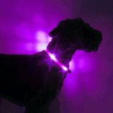 LED Light dog collar LEUCHTIE Easy Charge USB lavender transparent tube 40 cm