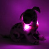 LED Light dog collar LEUCHTIE Mini hot pink 25 cm