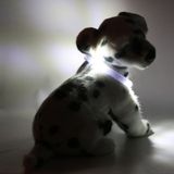 LED Light dog collar LEUCHTIE Mini white 32,5 cm