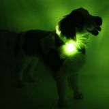 LED Light dog collar LEUCHTIE Pro Easy Charge green, transparent tube 40 cm