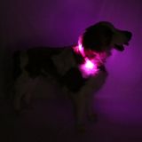 LED Light dog collar LEUCHTIE Easy Charge USB hot pink 47,5 cm