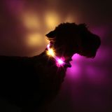 LED Light dog collar LEUCHTIE Easy Charge USB hot pink-vanilla 45 cm