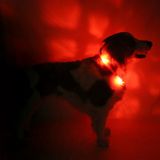 LED Light dog collar LEUCHTIE Easy Charge USB red 52,5 cm