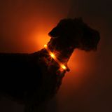LED Light dog collar LEUCHTIE Easy Charge USB sunset orange 45 cm