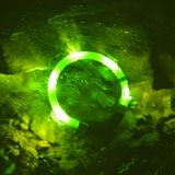 LED Light dog collar LEUCHTIE Easy Charge USB neon green 37,5 cm