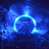 LED Light dog collar LEUCHTIE Easy Charge USB blue transparent tube 40 cm