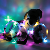 LED Light dog collar LEUCHTIE Easy Charge USB hotpink-vanilla 50 cm