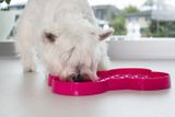 SloDog® Slow Dog Feeder 35 x 26 cm pink