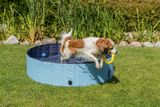 Trixie Dog Pool 80 x 20 cm