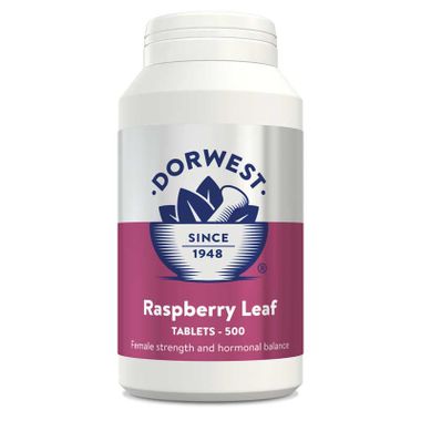 Dorwest Raspberry Leaf 500 Tablets