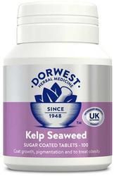 Dorwest Kelp Seaweed 100 Tablets