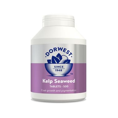 Dorwest Kelp Seaweed 500 Tablets