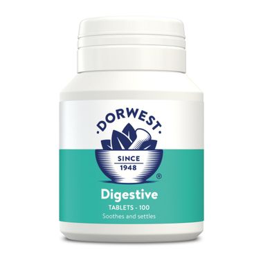 Dorwest Digestive 100 Tablets