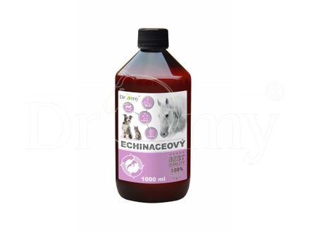 Dromy Echinacea syrup 1000 ml