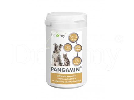 Dromy Pangamin® MINI 1000 tablets