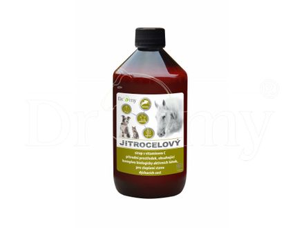 Dromy Plantago syrup 1000 ml