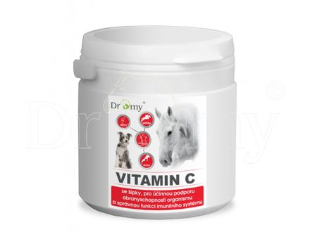 Dromy Vitamin C with rosehip 200 tablets