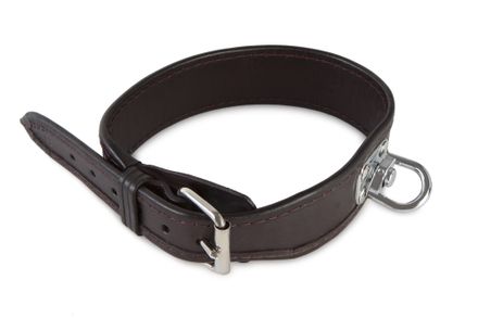 Blood tracking leather collar 55 cm brown