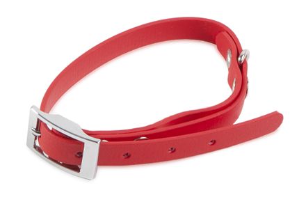 Firedog BioThane collar Basic 13 mm 20-28 cm red
