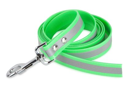 Firedog BioThane Dog leash Reflect 25 mm 1 m without handle light green