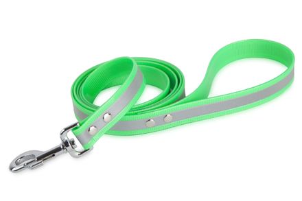 Firedog BioThane Dog leash Reflect 25 mm 1,2 m with handle & D-ring  light green