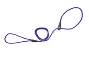 Firedog Moxon leash Classic 6 mm 110 cm violet