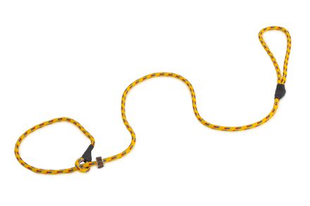 Firedog Moxon leash Classic 6 mm 130 cm yellow+red/blue