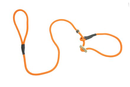 Firedog Moxon leash Classic 8 mm 150 cm bright orange with double hornstop