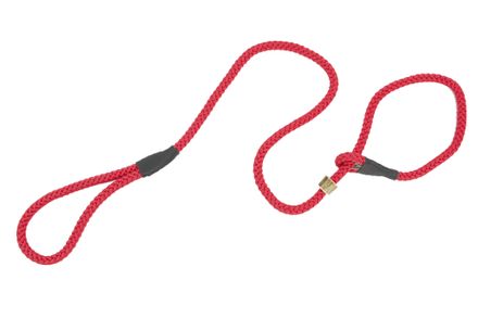 Firedog Moxon leash Profi 10 mm 150 cm red
