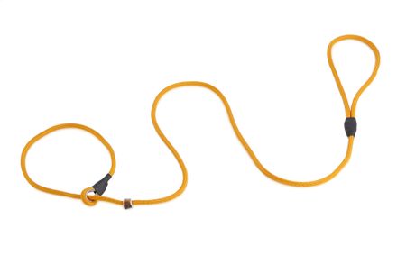 Firedog Moxon leash Profi 6 mm 110 cm orange