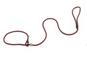 Firedog Moxon leash Profi 6 mm 110 cm stripes red/black