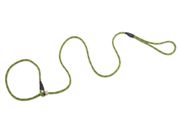 Firedog Moxon leash Profi 6 mm 110 cm light green/black