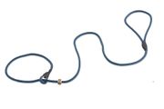 Firedog Moxon leash Profi 6 mm 130 cm stripes light blue/black