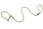 Firedog Moxon leash Profi 6 mm 130 cm light green/black with double hornstop