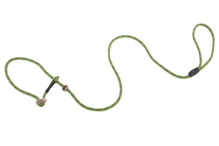 Firedog Moxon leash Profi 6 mm 130 cm light green/black with double hornstop
