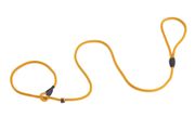 Firedog Moxon leash Profi 6 mm 150 cm orange