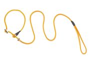 Firedog Moxon leash Profi 6 mm 150 cm orange with double hornstop