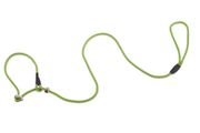 Firedog Moxon leash Profi 6 mm 150 cm light green with double hornstop