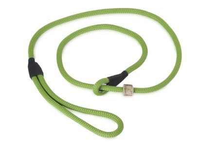 Firedog Moxon leash Profi 8 mm 130 cm light green