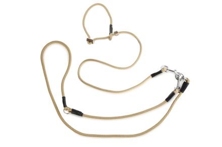Firedog Hunting leash 8 mm M 275 cm moxon with double hornstop beige