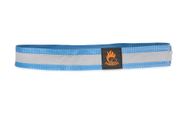 Firedog Reflective collar with velcro 30 mm 65 cm light blue