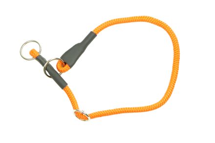 Firedog Slip collar 8 mm 40 cm bright orange