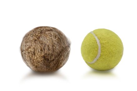 Firedog Rabbit Tennis Ball